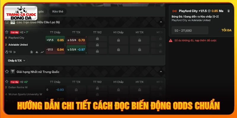 Chi tiết cách đọc biến động odds cho bet thủ